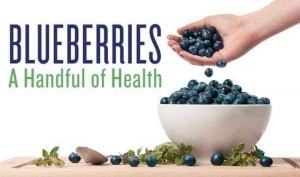 VALUE SMILES, AN AFFORDABLE DENTAL CARE OFFICE IN LITHIA SPRINGS AND DOUGLASVILLE. BLUEBERRIES VS PERIODONTITIS